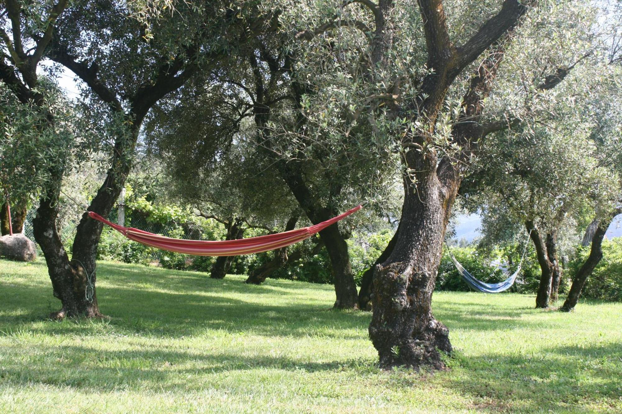 Casa Do Pinto ξενώνας Αρούκα Εξωτερικό φωτογραφία
